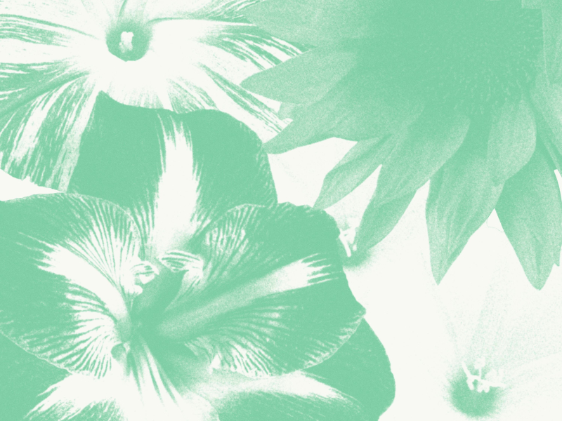 Nothing to be scared (Single)