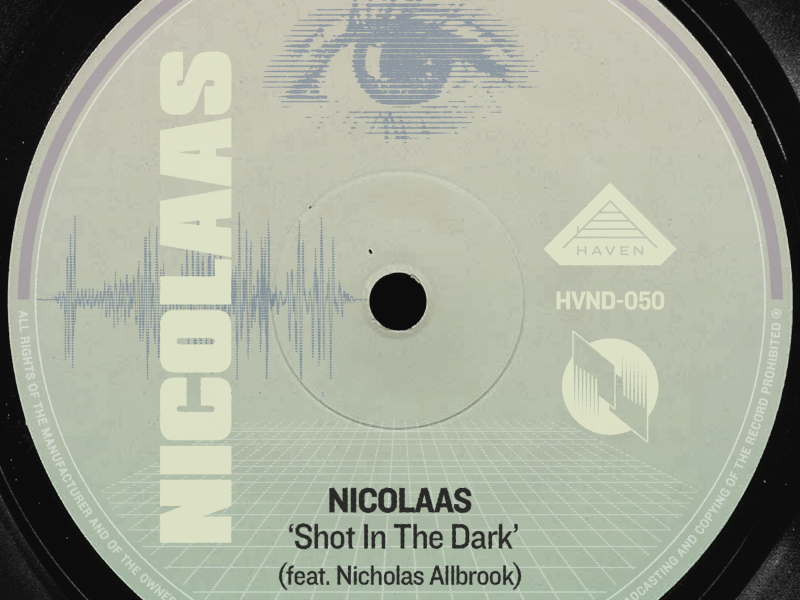 Shot in the Dark (feat. Nicholas Allbrook) (Single)