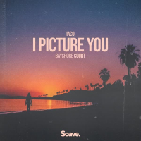 I Picture You (Single)