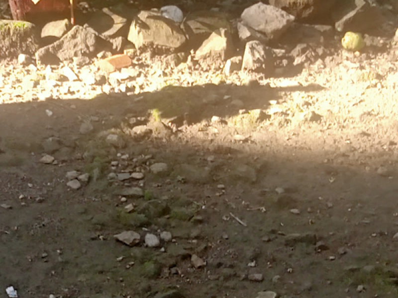 Terlalu lama (Single)