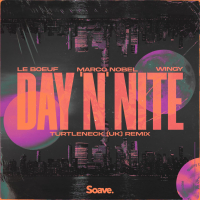 Day 'N' Nite (feat. Wingy) (Turtleneck (UK) Remix) (Single)