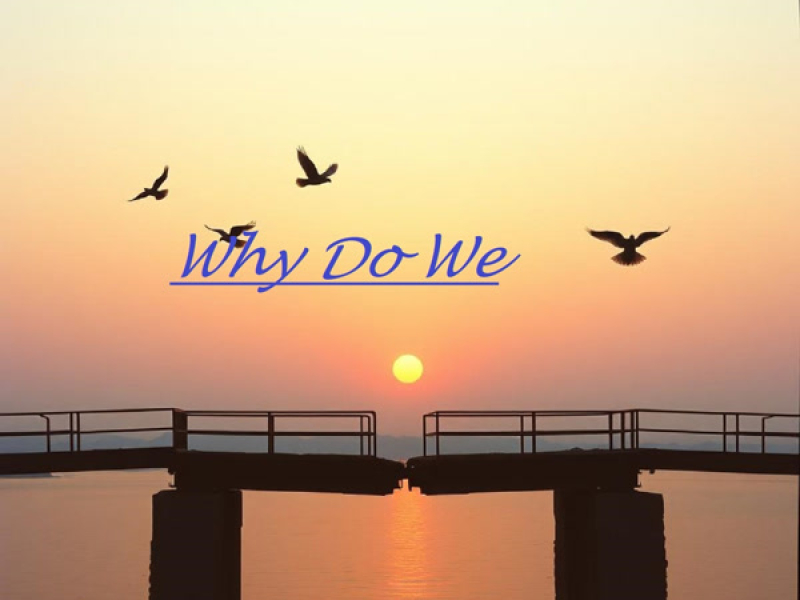 Why Do We (Single)