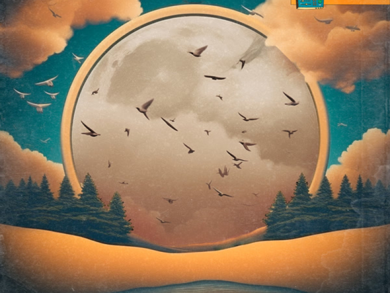 birds on the moon (Single)