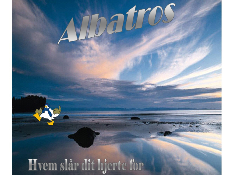 Hvem Slår dit hjerte for (Single)