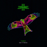 Firebird (EXIT 11 Mix) (Single)