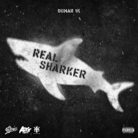Real Sharker (Single)