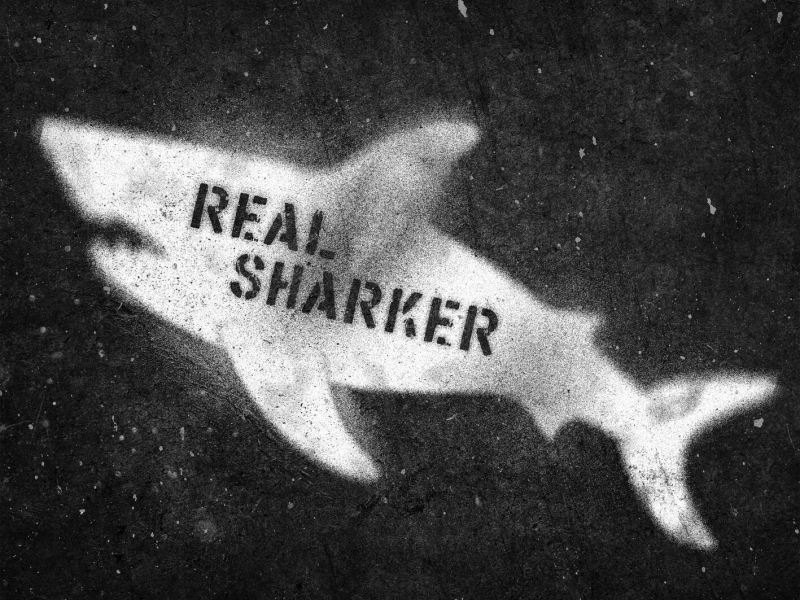 Real Sharker (Single)