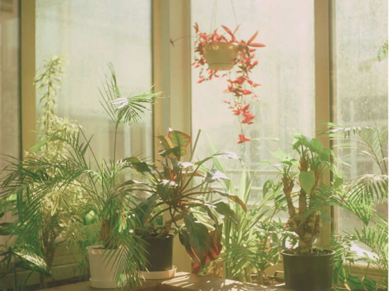 early mornings (Single)