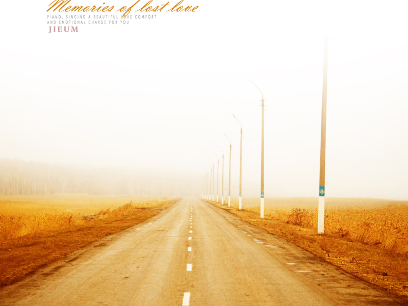 Memories Of Lost Love (Single)