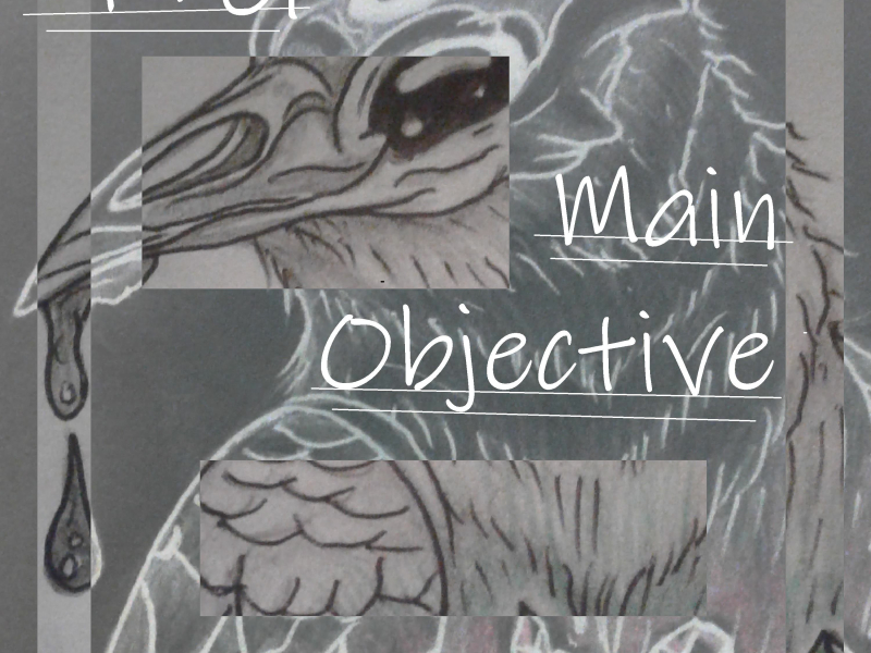 Main Objective (Single)