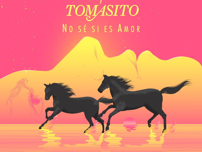 No sé si es amor (Single)