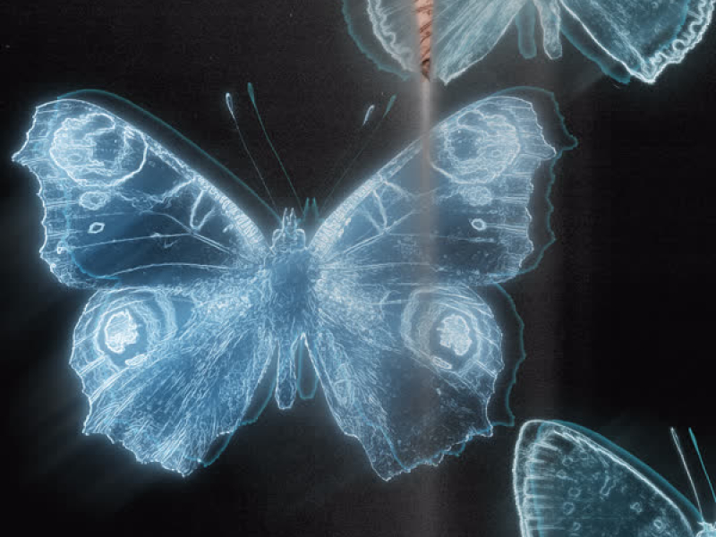 golden hour (Leon Leiden Remix) (Single)