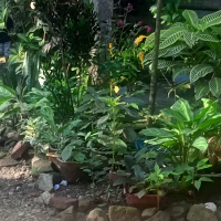 Hati yang kosong (Single)