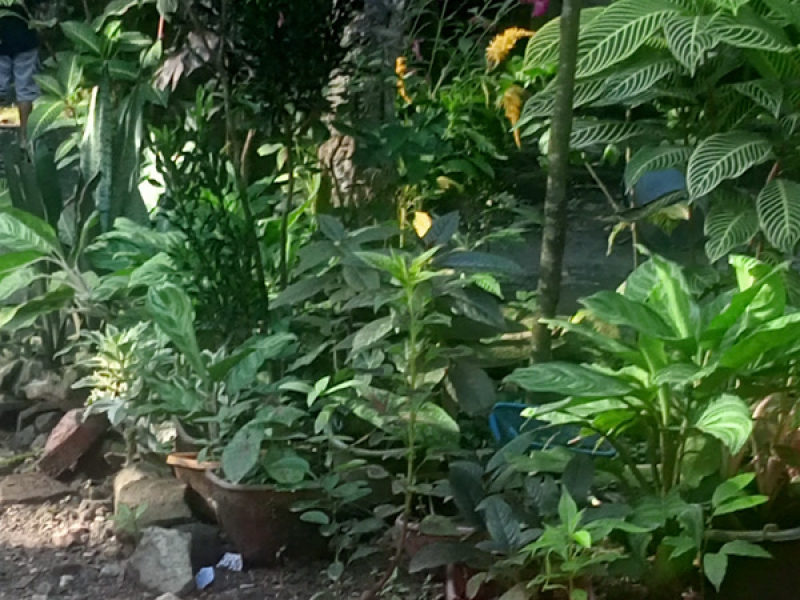 Hati yang kosong (Single)