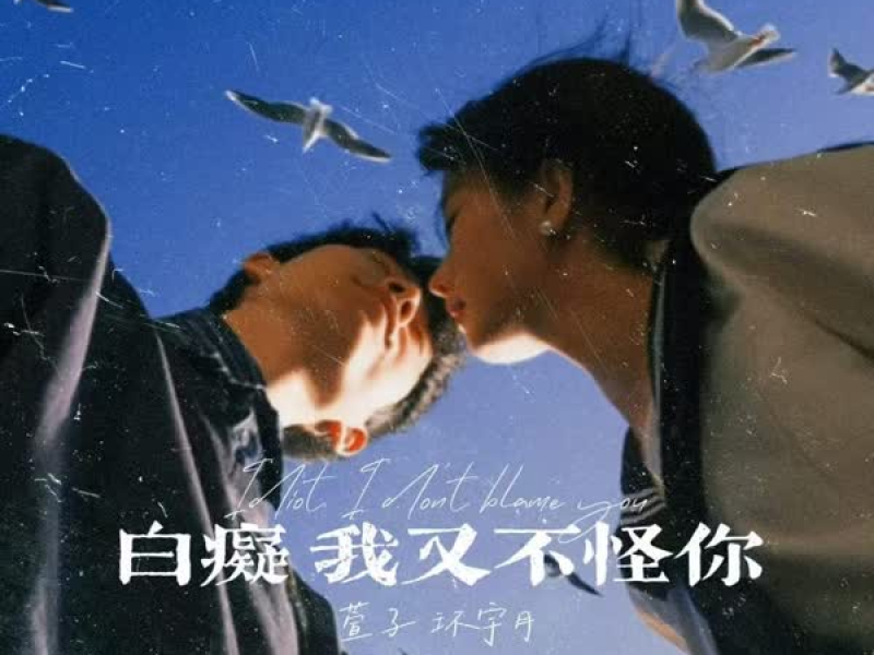 白痴 我又不怪你 (Single)