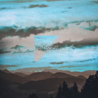 blossom (Single)