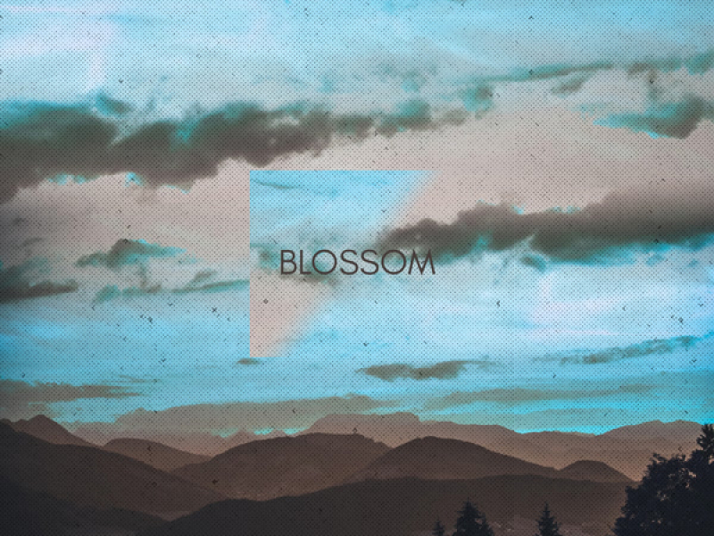 blossom (Single)