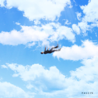 Fallin (Single)