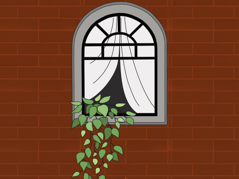 Without You (Single)