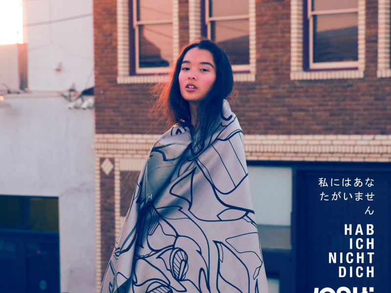 Hab ich nicht dich (Single)