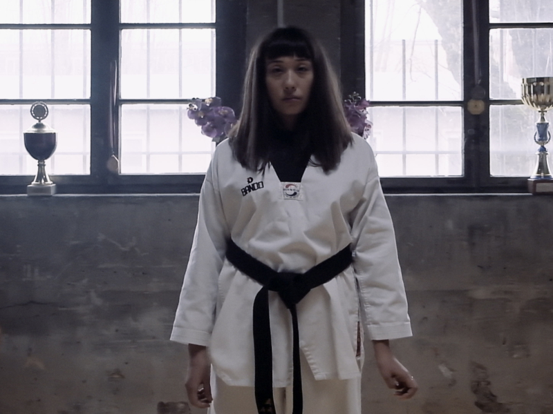 Chamäleonmädchen (Pinaz Remix)