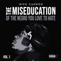 The Miseducation of The Negro You Love to Hate