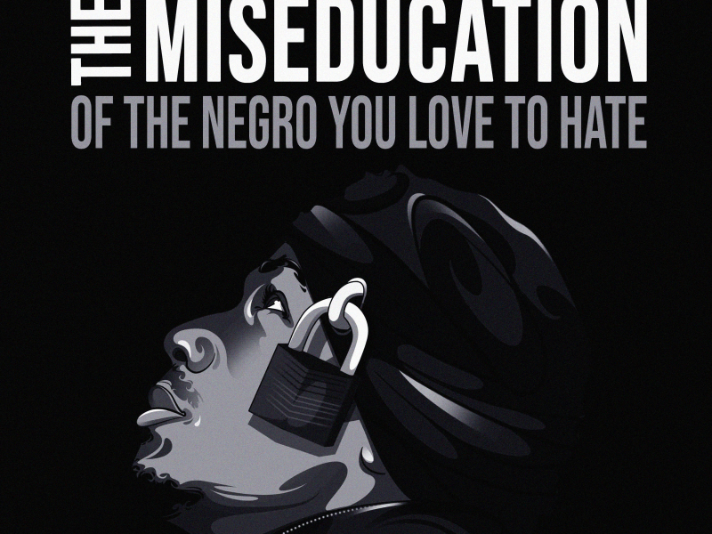 The Miseducation of The Negro You Love to Hate