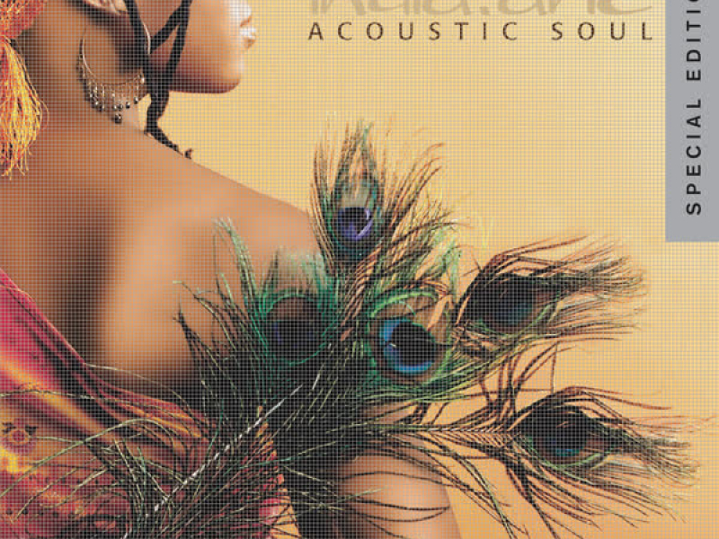 Acoustic Soul - Special Edition