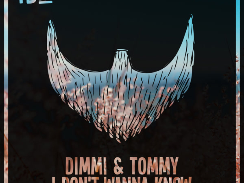 I Don't Wanna Know (Single)