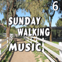 Sunday Walking Music, Vol. 6 (Instrumental)