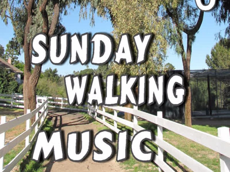 Sunday Walking Music, Vol. 6 (Instrumental)