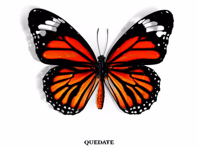 Quédate (Single)