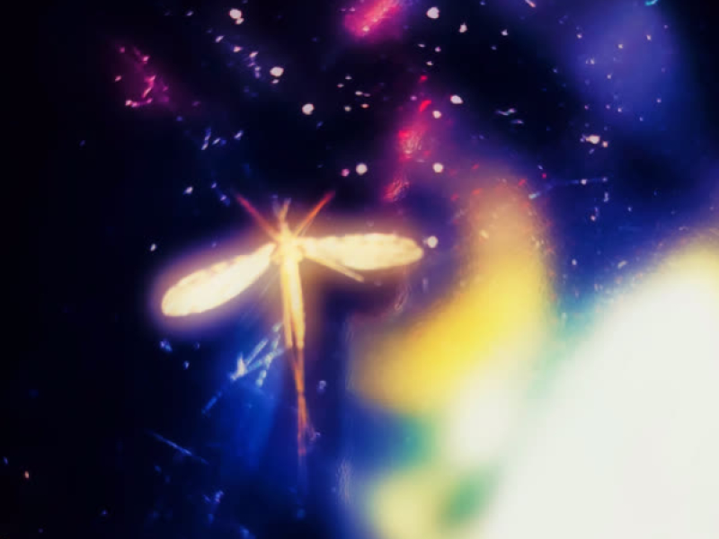 Nytt imellom oss (Single)