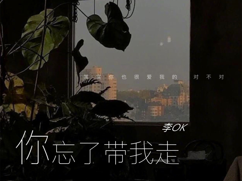 你忘了带我走 (Single)