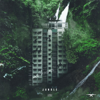 JUNGLE (Single)