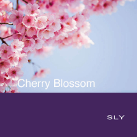 Cherry Blossom (Single)