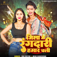 Jila Me Rangdari Hamar Chali (Single)