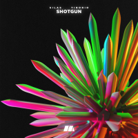 Shotgun (Single)