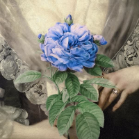 Blue Rose (Feat. X.Q) (Single)