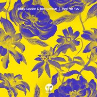 Feel For You (Single)