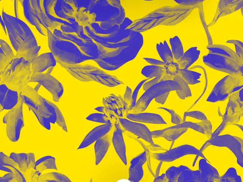 Feel For You (Single)