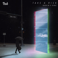Take A Risk (Single)