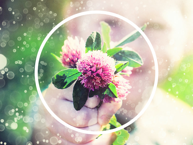 Slowly but surely I go on (Single)