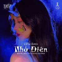 Nhớ Điên (CilTee Remix) (Single)