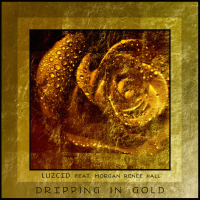 Dripping in Gold (feat. Morgan Renée Hall) - Single