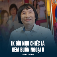 LK Đời Như Chiếc Lá, Đêm Buồn Ngoại Ô (Single)