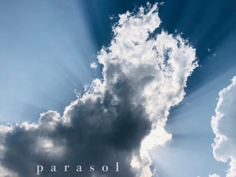 parasol (Single)