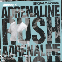 Adrenaline Rush (Acoustic) (Single)