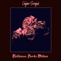 Gülümse Şarkı Oldun (Single)