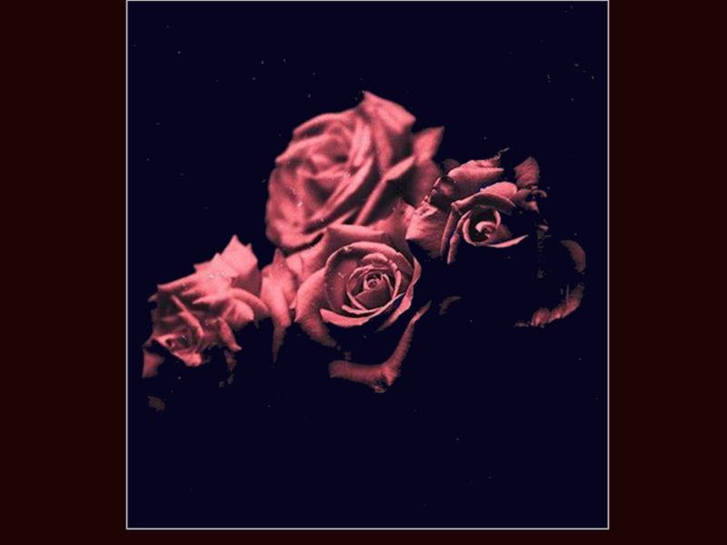 Gülümse Şarkı Oldun (Single)